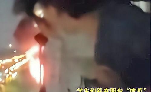 师生们吃瓜视频在线播放,师生吃瓜视频在线狂欢