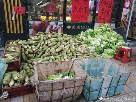 吃瓜聚众的视频,一场视觉与听觉的盛宴