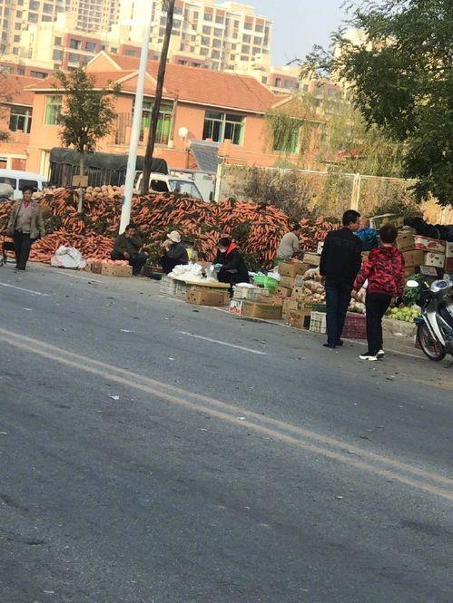 吃瓜聚众的视频,一场视觉与听觉的盛宴