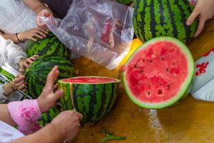 最新各种吃瓜视频,最新吃瓜视频盘点，明星幕后故事大曝光！