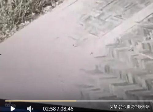 兰州老街吃瓜全部视频,一场视觉与味蕾的双重盛宴