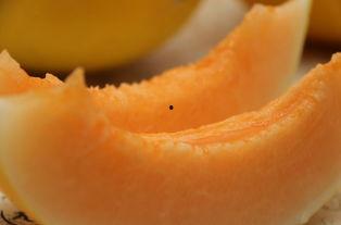 蜜瓜怎么弄肉吃的视频大全,视频大全教你轻松解锁美味秘诀