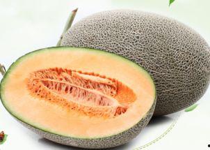 乡下人吃哈密瓜视频,揭秘乡下人吃哈密瓜的独特风情