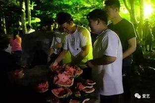 淮师吃瓜事件视频,校园风波背后的真相揭秘