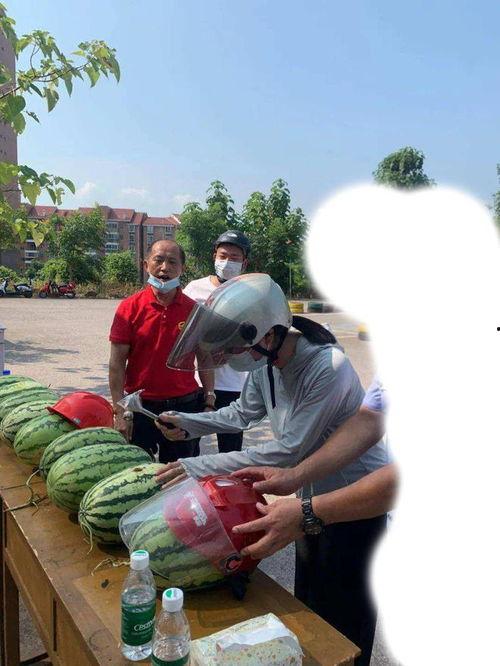 淮师吃瓜事件视频,校园风波背后的真相揭秘