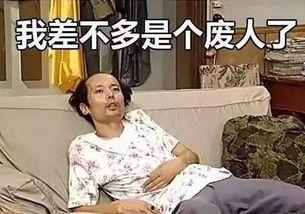 徐朗又饿了吃瓜视频,揭秘娱乐圈幕后故事，美食相伴的趣味时光