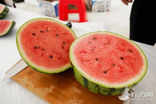 顶呱呱的吃瓜视频,揭秘娱乐圈幕后故事