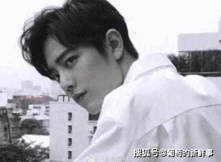 陈情令大型吃瓜现场视频,揭秘幕后花絮与精彩瞬间