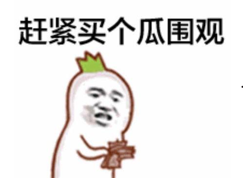 官方合集吃瓜群众视频,吃瓜群众视角下的热门事件深度解析