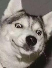 动漫情侣吵架吃瓜的视频,吃瓜群众围观笑料百出