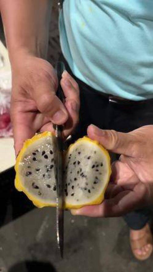 燕窝姐姐吃瓜视频大全,揭秘娱乐圈幕后故事