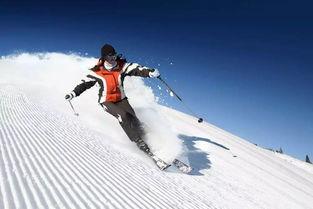 滑雪场吃瓜原视频,一场意外引发的欢乐风暴