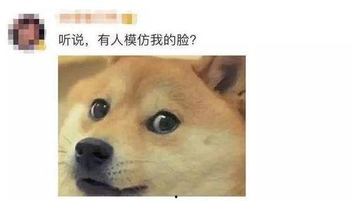 狗头君吃瓜视频播放下载,热门播放下载背后的故事