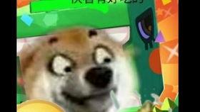 狗头君吃瓜视频播放下载,热门播放下载背后的故事