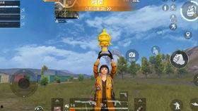 吃瓜挑战游戏视频大全,趣味横生的娱乐盛宴