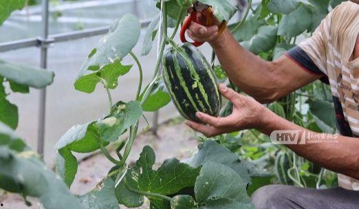 北湖新区吃瓜事件真相视频,揭秘真相背后的惊人内幕