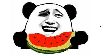 极致吃瓜搞笑视频合集,让你笑到肚子疼