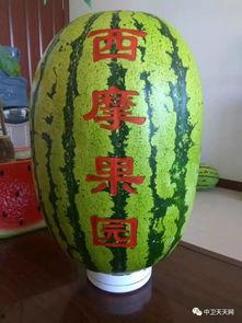 硒砂瓜能不能焖熟吃呢视频,美味焖熟，营养保留