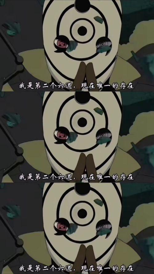 一只小安琪吃瓜视频大全,趣味横生的瓜界盛宴