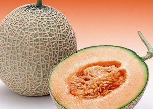 吃洋葱哈密瓜的视频,一场视觉与味蕾的双重盛宴