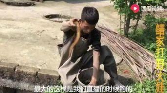 吃瓜小哥完整视频,完整视频背后的惊人真相