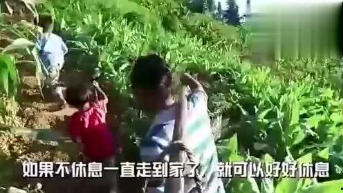 彬州吃瓜事件视频最新,一场网络热议背后的真相揭秘