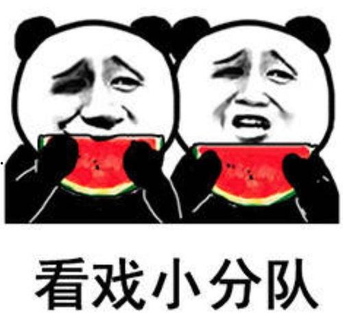 影视剧吃瓜群众表情包视频,笑料横生的幕后故事