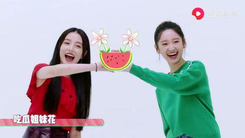 明星边采访边吃瓜视频,明星采访中的趣味瞬间