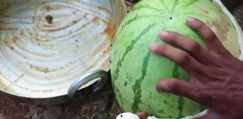 求网红吃瓜视频大全,全网热门网红吃瓜视频大盘点