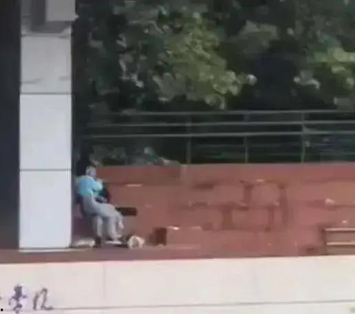 九江学院吃瓜视频,揭秘校园生活趣事