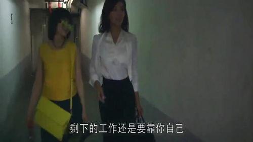 安迪吃瓜事件视频播放,网络热议背后的真相揭秘