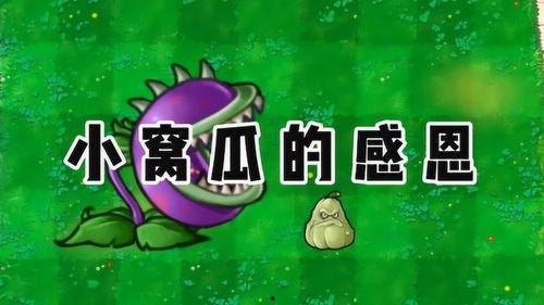 吃瓜植物大战僵尸配音视频,一场吃瓜观众的欢乐之旅