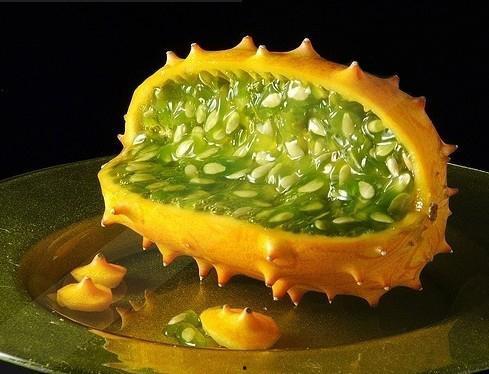 超大角瓜怎么吃才好吃视频,视频教你轻松烹饪佳肴