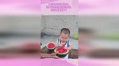 开心吃瓜小呆瓜视频,揭秘视频中的欢乐瞬间