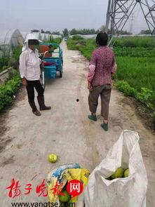 中国边境大妈吃瓜视频,揭秘中国边境风情