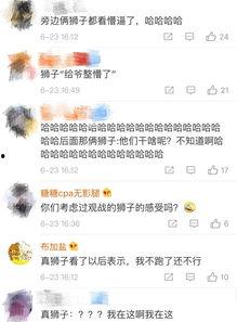 吃瓜看戏视频号怎么看,带你领略短视频的魅力