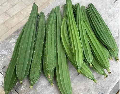 吃瓜视频丝瓜,揭秘丝瓜的神奇功效与美味烹饪技巧