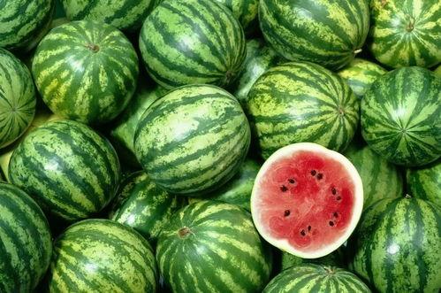 贵州人吃茭瓜视频播放,茭瓜美食视频走红网络