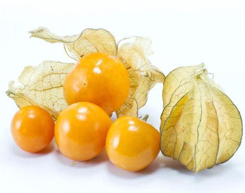 东北小姑娘吃黄皮瓜视频,萌态十足引网友热议