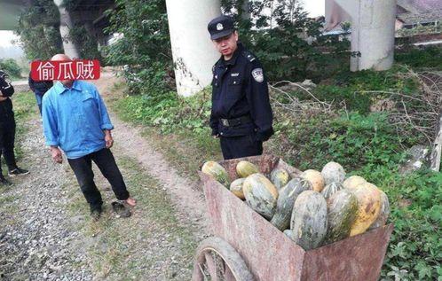 棉湖公园吃瓜事件视频播放,视频曝光引发社会热议