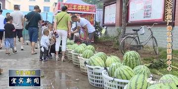 棉湖公园吃瓜事件视频播放,视频曝光引发社会热议