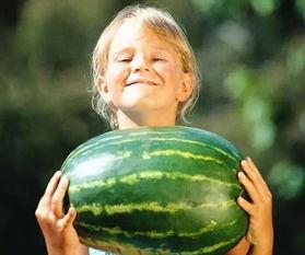 汕头龙湖吃瓜事件视频,一场网络热议的社区冲突揭秘