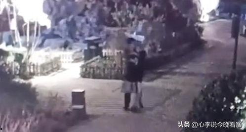 张北吃瓜事件始末视频,一场网络热议的始末揭秘