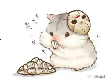 小仓鼠吃瓜解暑的故事视频,夏日清凉小趣事