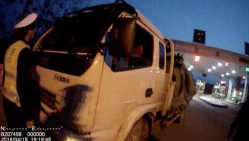 玻璃吃瓜视频,揭秘网络短视频的趣味与争议