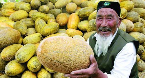 绝世老爸吃哈密瓜视频,一场味蕾与父爱的完美邂逅