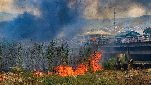 山顶吃瓜赏景视频大全集,全景盛宴大盘点