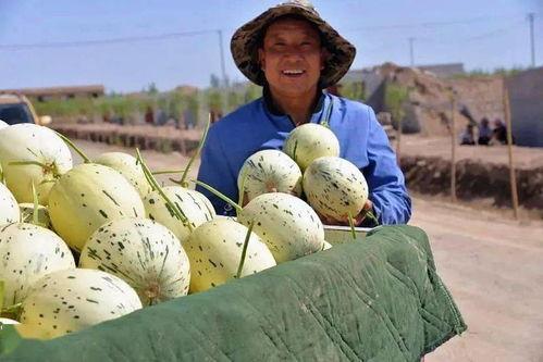 群众一路吃瓜视频下载,揭秘群众视频下载背后的故事