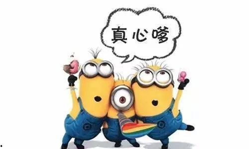 跪地小黄人卖吃瓜视频下载