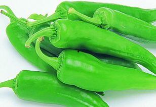 楠瓜喜欢吃辣椒吗视频